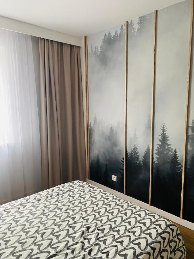 זיילונה גאורה Apartament Mgla מראה חיצוני תמונה